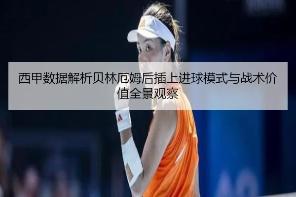 xi-jia-shu-ju-jie-xi-bei-lin-e-mu-hou-cha-shang-jin-qiu-mo-shi-yu-zhan-shu-jia-zhi-quan-jing-guan-cha-2-508.jpg